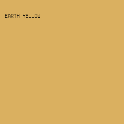 DAB060 - Earth Yellow color image preview