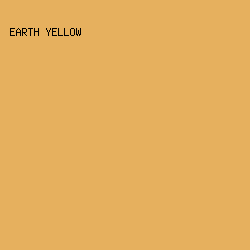E6B05E - Earth Yellow color image preview