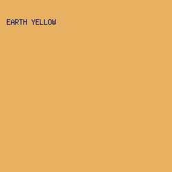 E8B061 - Earth Yellow color image preview