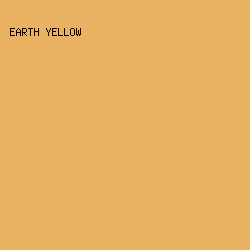 E8B262 - Earth Yellow color image preview