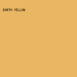 E9B664 - Earth Yellow color image preview