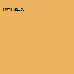 EDB361 - Earth Yellow color image preview