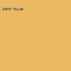 e8b863 - Earth Yellow color image preview