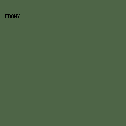 4E6547 - Ebony color image preview