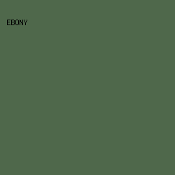 4F684B - Ebony color image preview