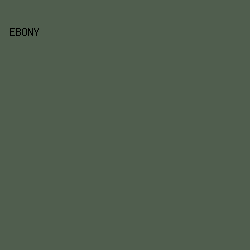 505e4e - Ebony color image preview