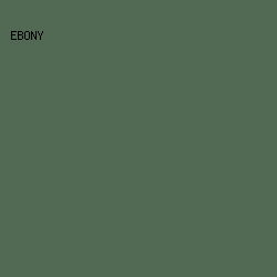 526953 - Ebony color image preview