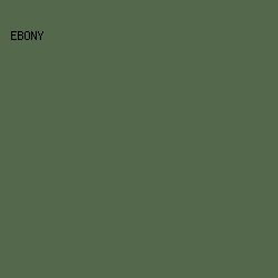 54694C - Ebony color image preview