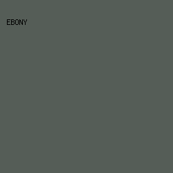 555D57 - Ebony color image preview