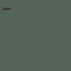 556658 - Ebony color image preview
