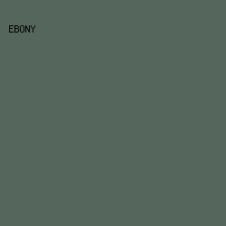 55665c - Ebony color image preview