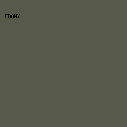 57594A - Ebony color image preview