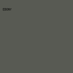 585A53 - Ebony color image preview