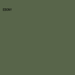 58654a - Ebony color image preview