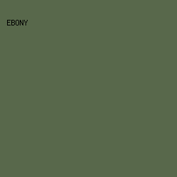58684B - Ebony color image preview