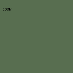 586E50 - Ebony color image preview