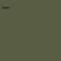595D44 - Ebony color image preview