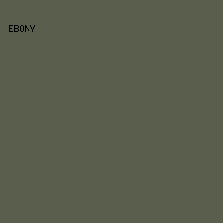 595E4D - Ebony color image preview