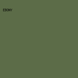 5C6C48 - Ebony color image preview