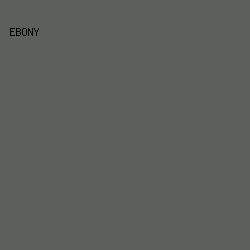 5D5F5C - Ebony color image preview
