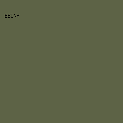 5D6346 - Ebony color image preview