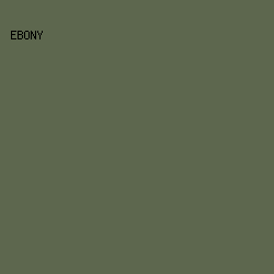 5D674E - Ebony color image preview