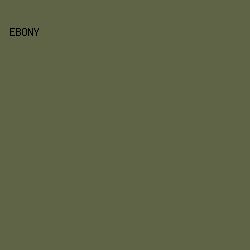 5F6447 - Ebony color image preview