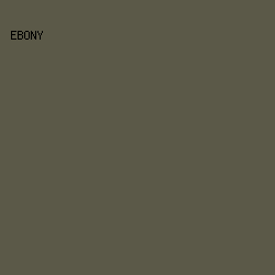 5b5948 - Ebony color image preview