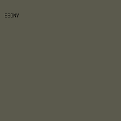 5b5a4d - Ebony color image preview