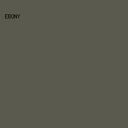 5b5a4f - Ebony color image preview
