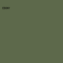 5d694b - Ebony color image preview