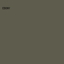 5e5c4d - Ebony color image preview