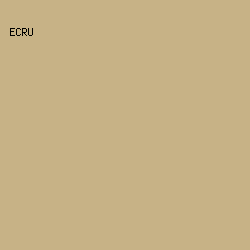 C7B286 - Ecru color image preview