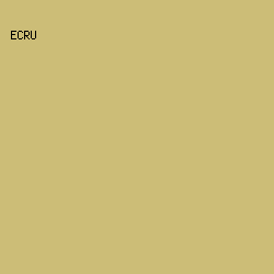 CCBD77 - Ecru color image preview