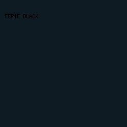 0e1b22 - Eerie Black color image preview