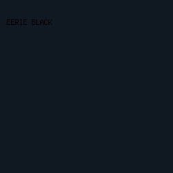 101921 - Eerie Black color image preview