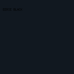 111820 - Eerie Black color image preview