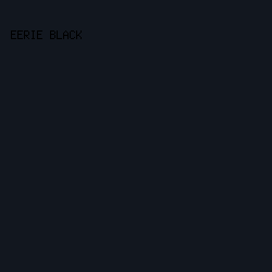 12171F - Eerie Black color image preview