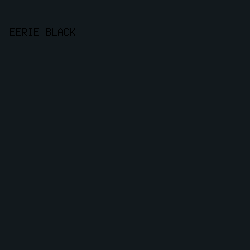 12191D - Eerie Black color image preview