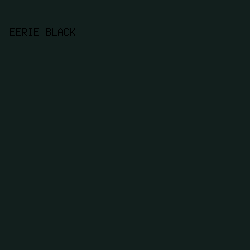 121f1d - Eerie Black color image preview