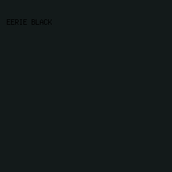 131a1a - Eerie Black color image preview