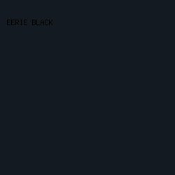 131a22 - Eerie Black color image preview