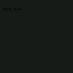 161b17 - Eerie Black color image preview