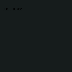 161c1c - Eerie Black color image preview