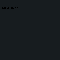 171C1F - Eerie Black color image preview
