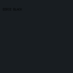 181d21 - Eerie Black color image preview