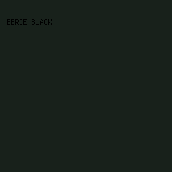 18211B - Eerie Black color image preview