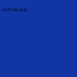 1135a5 - Egyptian Blue color image preview