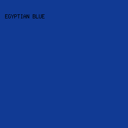 113a94 - Egyptian Blue color image preview