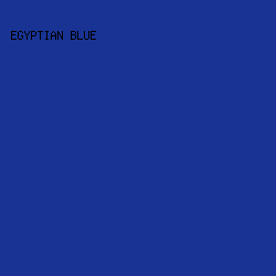 193395 - Egyptian Blue color image preview